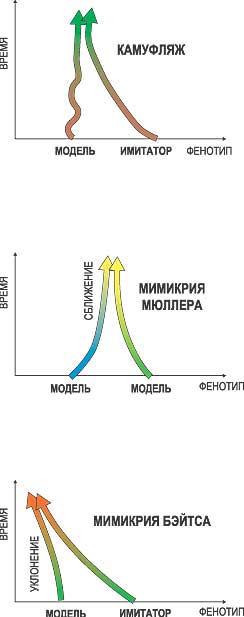 ИСКУССТВО ПОДРАЖАНИЯ