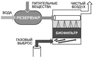 ПОЛЕЗНЫЙ ТОРФ ИЗ ВРЕДНЫХ ВЫБРОСОВ