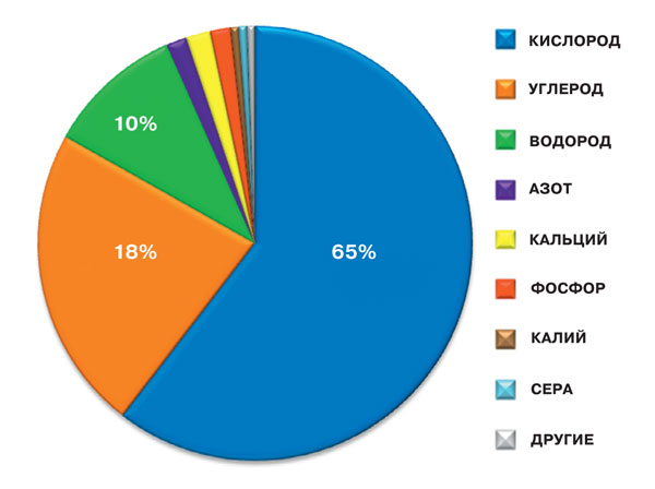 Путешествие по таблице элементов: от водорода до оганесона