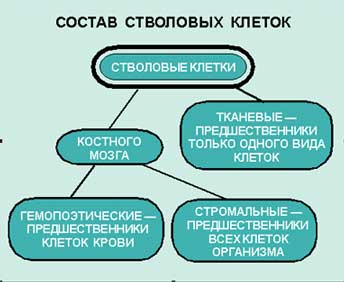 ВОССТАНОВИТЕЛЬНАЯ ТЕРАПИЯ БУДУЩЕГО