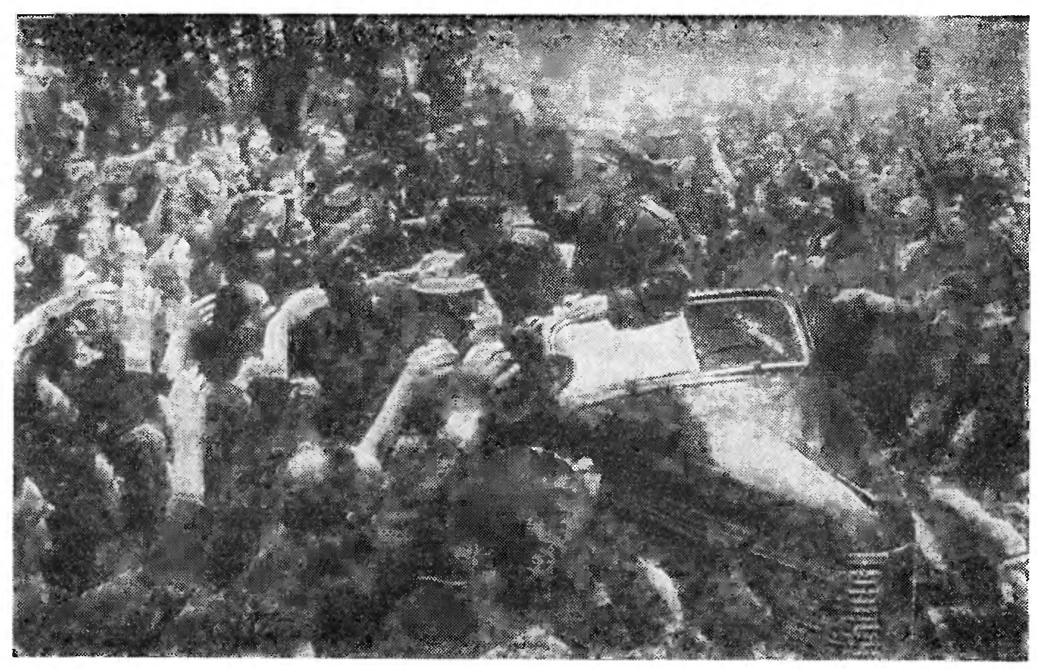 ГОРДОСТЬ ОСВОБОДИТЕЛЕЙ