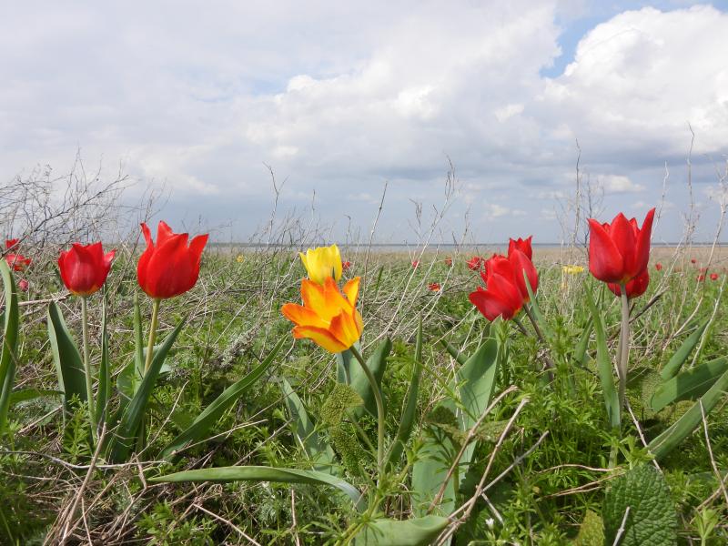 DSCN6530.JPG
