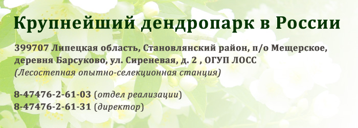 dendropark2.jpg dendropark2.jpg