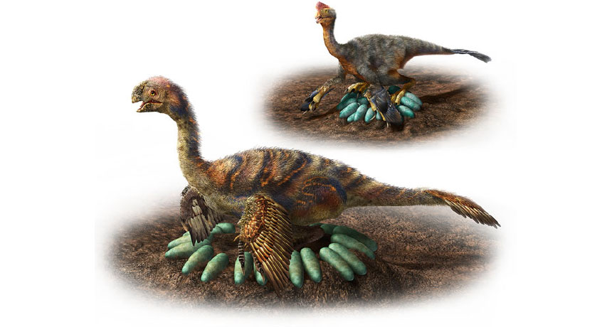 динозавры яйца.jpg