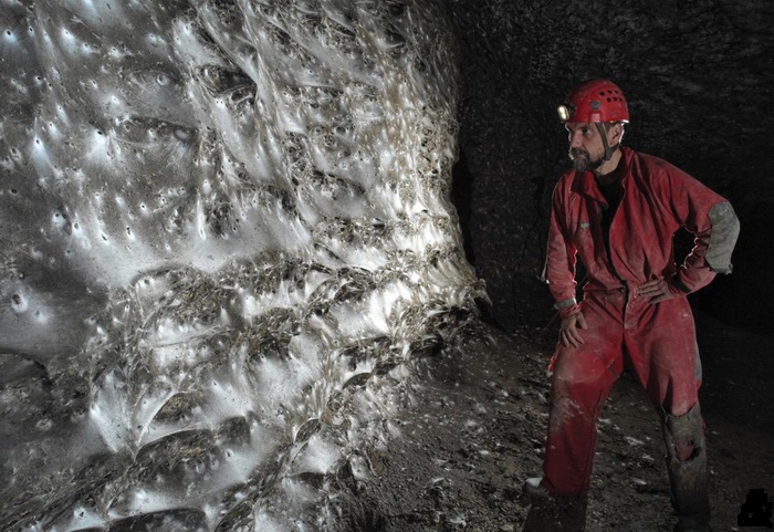 пауки колония.jpg