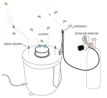 bg_sentinel_CO2_plumes_beschriftung.jpg