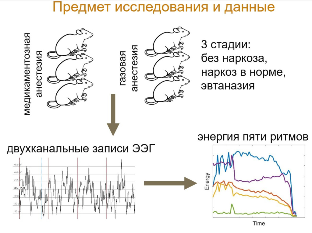 ТРБогатенко_Рис1_l.jpg