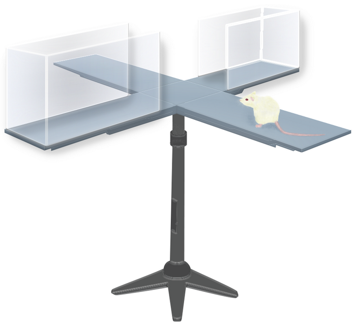 крестообразный лабиринт.png