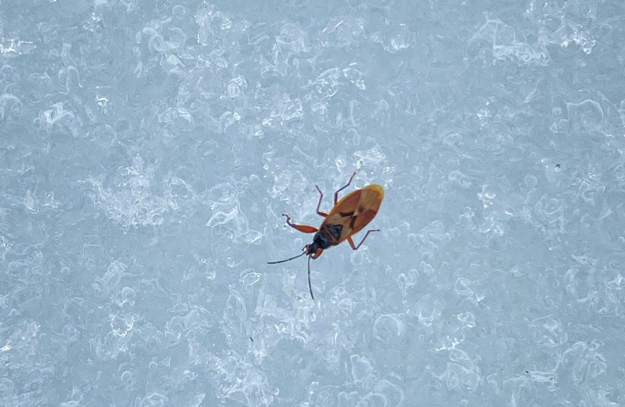  Фото Даниил Коробушкин