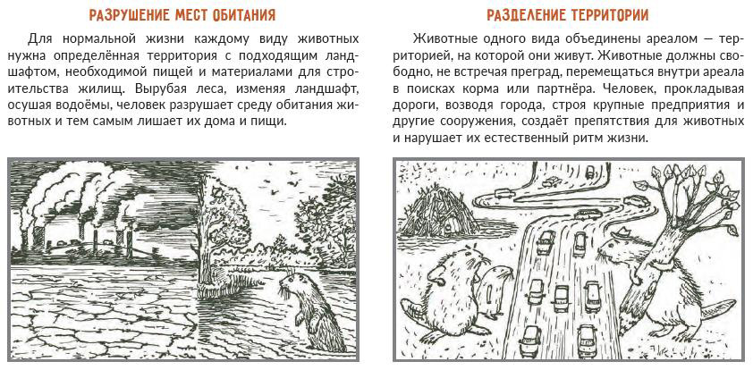 pages.jpg