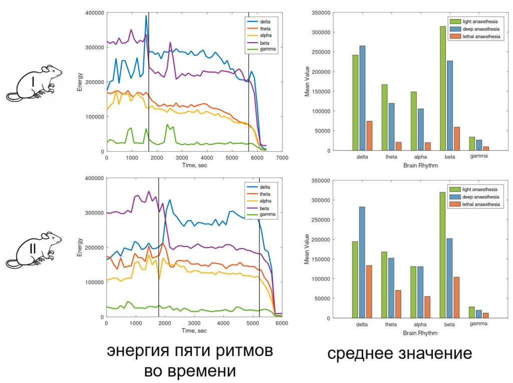 ТРБогатенко_Рис2_l.jpg