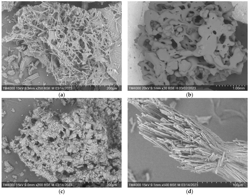 3. Образцы арабиногалактана и его производных. Фотография Сканирующего электронного микроскопа_low.jpg