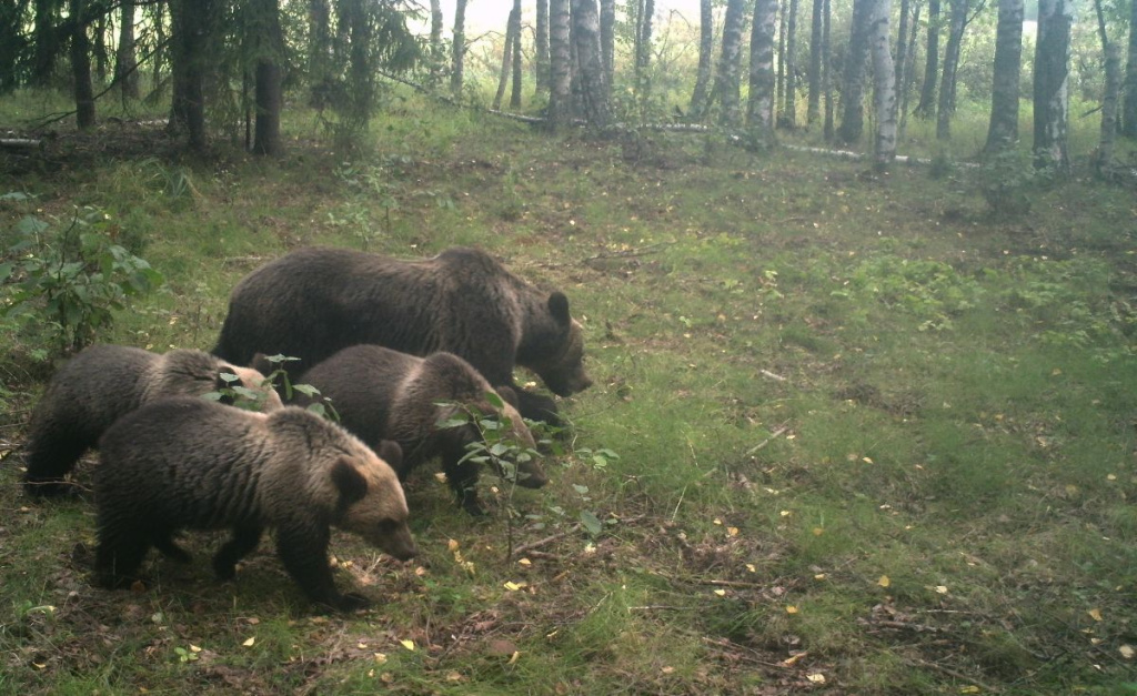 Маша_2023 с 3 сеголетками сентябрь.jpg