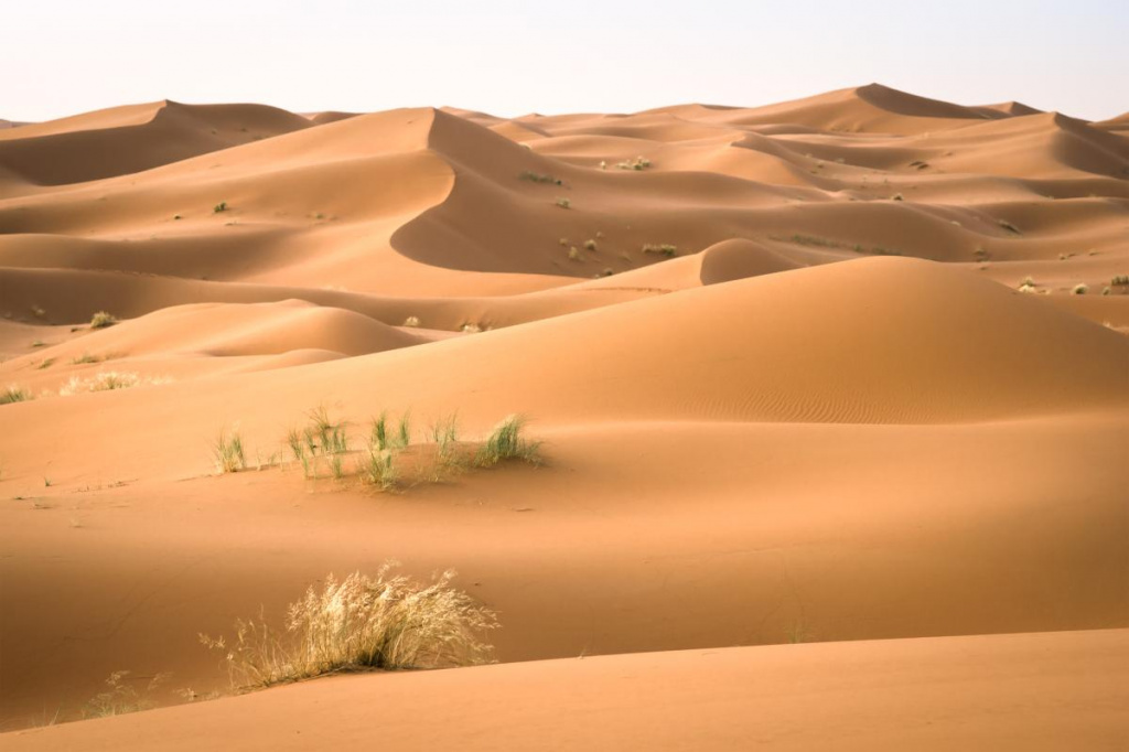 Sand desert.jpg