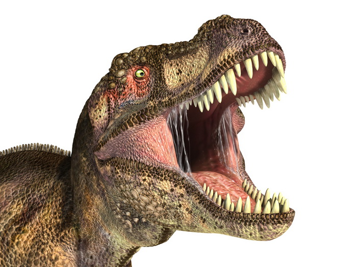 динозавры язык.png