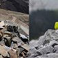 Китайское лекарственное растение замаскировалось от людей
