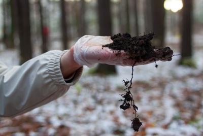 Большие открытия в домашней лаборатории