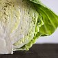 Горький вкус как препятствие к вегетарианству