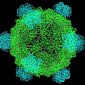 Искусственный интеллект помог создать новые вирусы
