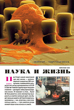 «Наука и жизнь» 2005_11 (pdf)