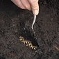 Центральное погребение «древнейшего» скифского кургана оказалось не похожим на скифское
