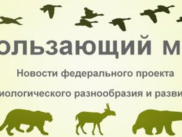 Сохранение биологического разнообразия