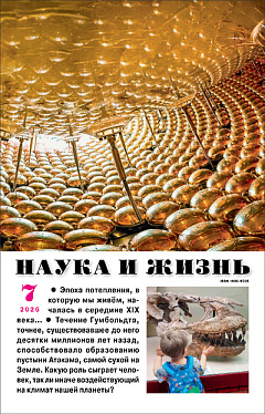 №7,2026