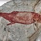 Российские исследователи нашли «новые» наскальные рисунки в ЮАР