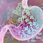 Кишечные бактерии помогают лечить рак фитогормоном