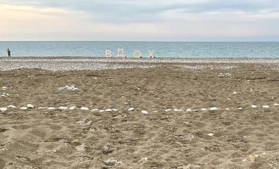 Более 1000 человек из 8 стран приняли участие в открытии Международного фестиваля будущего сообществ «Вдох»
