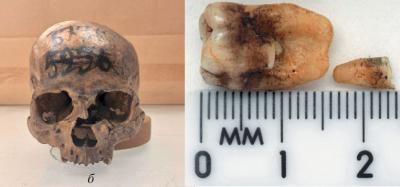 Впервые проведён генетический анализ останков женщины из Старой Рязани – крупнейшего средневекового древнерусского города XI–XIII веков