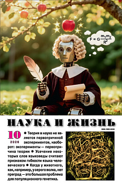 «Наука и жизнь» 2026_10(pdf)