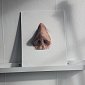 Современные люди носят неандертальские носы