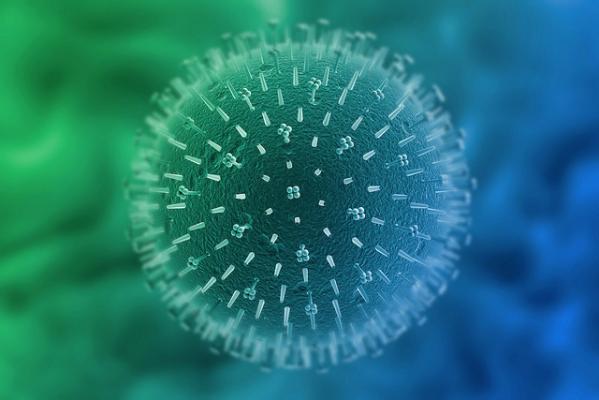    . (: Steve Shohl / Flickr.com) 