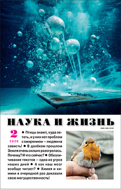 «Наука и жизнь» 2026_02(pdf)