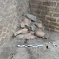 Жители Помпей вернулись в город после извержения