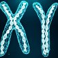 Мужчины без Y-хромосомы умирают быстрее