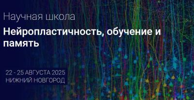 Стартовала летняя научная школа для молодых учёных в области нейронаук на тему нейропластичности, обучения и памяти