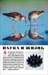 «Наука и жизнь» 2025_05(pdf)