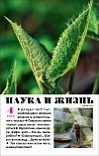 «Наука и жизнь» 2025_04(pdf)