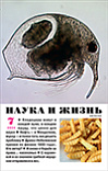 «Наука и жизнь» 2024_07(pdf)