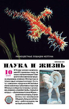 «Наука и жизнь» 2006_10 (pdf)